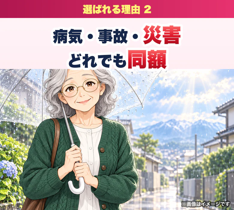 理由2 病気でも事故でも災害でも同額